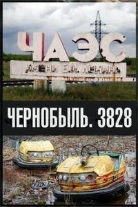 Чернобыль. 3828 () 2011 года смотреть онлайн бесплатно в отличном качестве. Постер