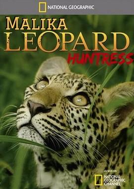 Охотница / Malika. Leopard Huntress (2018) смотреть онлайн бесплатно в отличном качестве