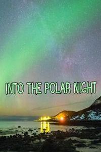 В полярную ночь / Into the Polar Night (2018) смотреть онлайн бесплатно в отличном качестве