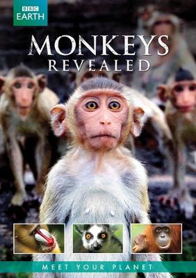 Всё о мире обезьян / Monkeys Revealed () смотреть онлайн бесплатно в отличном качестве