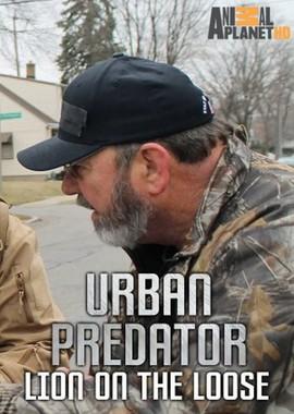 Хищник в городе: лев на свободе (Urban Predator: Lion on the Loose) 2016 года смотреть онлайн бесплатно в отличном качестве. Постер