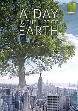 День из жизни Земли / A Day in the Life of Earth (2018) смотреть онлайн бесплатно в отличном качестве