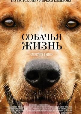 Собачья жизнь (A Dog's Purpose) 2017 года смотреть онлайн бесплатно в отличном качестве. Постер