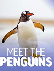 Знакомство с пингвинами / Meet the Penguins (2017) смотреть онлайн бесплатно в отличном качестве