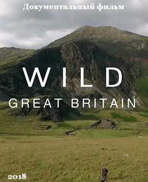 Дикая природа Великобритании / Wild Great Britain (2018) смотреть онлайн бесплатно в отличном качестве