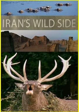 Дикие места Ирана / Iran's Wild Side (2018) смотреть онлайн бесплатно в отличном качестве