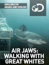 Летающие челюсти: прогулка с белыми акулами / Air Jaws. Walking With Great Whites (None) смотреть онлайн бесплатно в отличном качестве