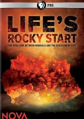 Каменное начало жизни (Life's Rocky Start) 2016 года смотреть онлайн бесплатно в отличном качестве. Постер