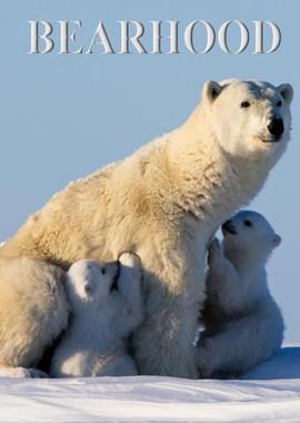 Медвежья школа / Bearhood () смотреть онлайн бесплатно в отличном качестве