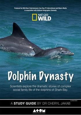 Династия дельфинов / Dolphin Dynasty (2016) смотреть онлайн бесплатно в отличном качестве