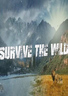 Выжить в дикой природе (Survive the Wild) 2016 года смотреть онлайн бесплатно в отличном качестве. Постер