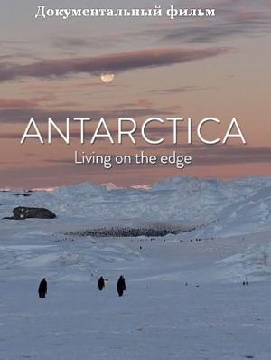 Антарктика. Живущие на грани / Antarctica. Living on the edge (2016) смотреть онлайн бесплатно в отличном качестве