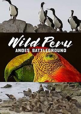 Дикая природа Перу: арена боев - Анды / Wild Peru: Andes Battleground (2018) смотреть онлайн бесплатно в отличном качестве