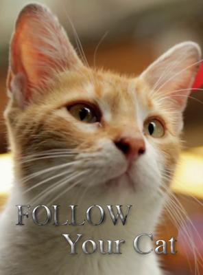 По следам вашей кошки / Follow Your Cat (2016) смотреть онлайн бесплатно в отличном качестве