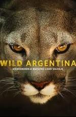 Дикая природа Аргентины / Wild Argentina (2017) смотреть онлайн бесплатно в отличном качестве