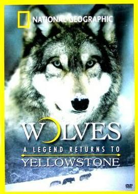 Волчья династия Йеллоустоуна / Yellowstone Wolf Dynasty (2018) смотреть онлайн бесплатно в отличном качестве