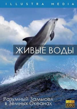 Живые воды / Living waters (None) смотреть онлайн бесплатно в отличном качестве