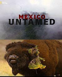 Непокорная Мексика / Mexico Untamed (2018) смотреть онлайн бесплатно в отличном качестве