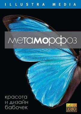 Метаморфоз / Metamorphosis (2011) смотреть онлайн бесплатно в отличном качестве