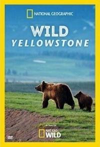 Дикий Йеллоустоун / Wild Yellowstone (None) смотреть онлайн бесплатно в отличном качестве