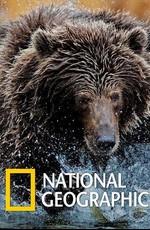 Империя гризли / Grizzly Empire () смотреть онлайн бесплатно в отличном качестве