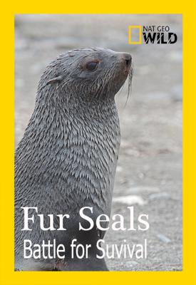 Морские котики: битва за выживание / Fur Seals. Battle for Suvival (None) смотреть онлайн бесплатно в отличном качестве