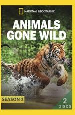 Животные без правил (Animals Gone Wild)  года смотреть онлайн бесплатно в отличном качестве. Постер