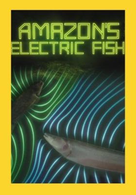 Амазонская электрическая рыба (Amazon's Electric Fish)  года смотреть онлайн бесплатно в отличном качестве. Постер