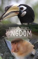 Секретное королевство Борнео: странные и дикие / Borneo's Secret Kingdom. Weird & Wild (2017) смотреть онлайн бесплатно в отличном качестве