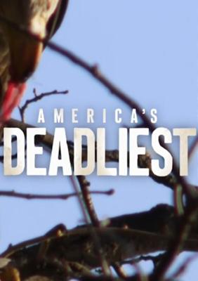 Самые опасные животные Америки / America's deadliest (2016) смотреть онлайн бесплатно в отличном качестве