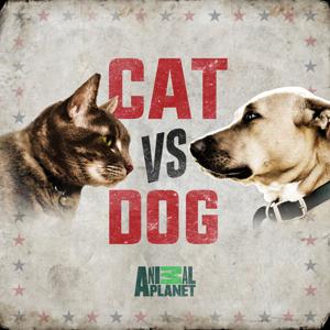 Заклятые враги: кошки против собак / Ultimate rivals. Cat v. Dog (2017) смотреть онлайн бесплатно в отличном качестве