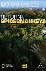 Возвращение паукообразных обезьян / Return of the spidermonkeys (2016) смотреть онлайн бесплатно в отличном качестве