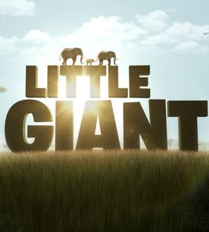 Маленький гигант / Little giant () смотреть онлайн бесплатно в отличном качестве