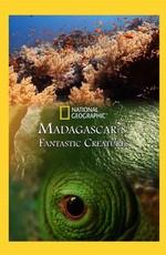 Фантастические существа Мадагаскара / Madagascar's Fantastic Creatures (2016) смотреть онлайн бесплатно в отличном качестве