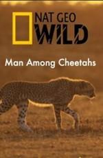 Человек среди гепардов / Man amond cheetahs (2017) смотреть онлайн бесплатно в отличном качестве