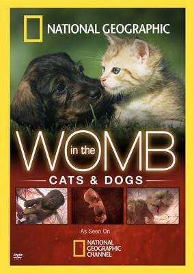 National Geographic: Жизнь до рождения: Собаки / In The Womb Dogs (2009) смотреть онлайн бесплатно в отличном качестве