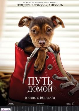 Путь домой / A Dog's Way Home (2019) смотреть онлайн бесплатно в отличном качестве