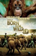 IMAX: Рожденные на воле / Born to Be Wild (2011) смотреть онлайн бесплатно в отличном качестве