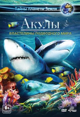 Акулы 3D: Властелины подводного мира / Sharks 3D: Kings of the Ocean (None) смотреть онлайн бесплатно в отличном качестве