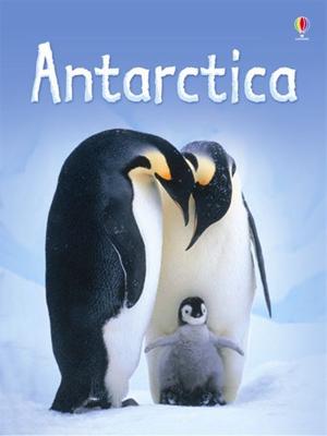 Дикая Антарктида (Wild Antarctica)  года смотреть онлайн бесплатно в отличном качестве. Постер