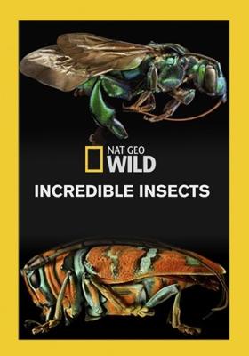 Удивительные насекомые / Incredible Insects (None) смотреть онлайн бесплатно в отличном качестве