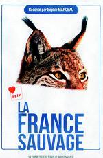 Дикая Франция / La France sauvage (None) смотреть онлайн бесплатно в отличном качестве