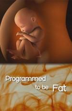 Природа вещей: Курс на ожирение? / The Nature of Things: Programmed to Be Fat? (None) смотреть онлайн бесплатно в отличном качестве