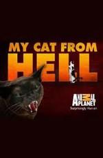 Animal planet: Адская кошка / Animal planet: My Cat from Hell (2011) смотреть онлайн бесплатно в отличном качестве