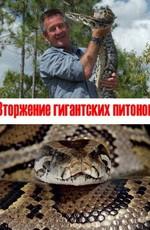 Вторжение гигантских питонов (Invasion Of The Giant Pythons) 2009 года смотреть онлайн бесплатно в отличном качестве. Постер