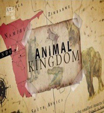 Animal Planet: Царство животных / Animal Kingdom (2011) смотреть онлайн бесплатно в отличном качестве