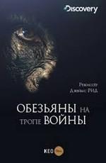 Обезьяны на тропе войны / Rise of the Warrior Apes (2016) смотреть онлайн бесплатно в отличном качестве