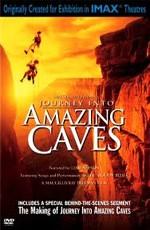 Путешествие в Удивительные пещеры (Journey Into Amazing Caves) 2001 года смотреть онлайн бесплатно в отличном качестве. Постер