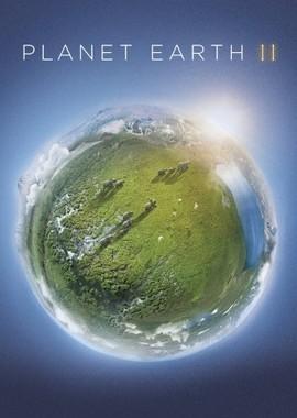 BBC: Планета Земля 2 / Planet Earth II (2016) смотреть онлайн бесплатно в отличном качестве