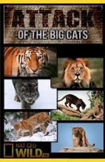 National Geographic: Атака больших кошек / National Geographic: Attack of the Big Cats () смотреть онлайн бесплатно в отличном качестве